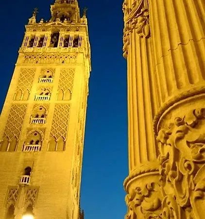 Like - Museo * Seville