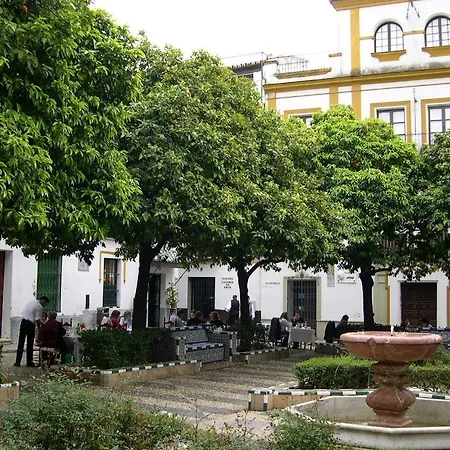 Like - Museo Apartment Seville