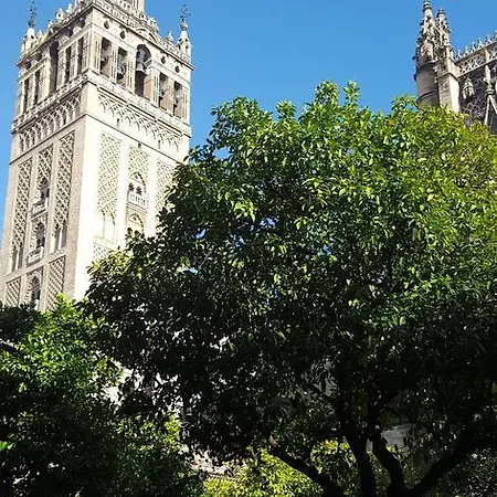 公寓 Like - Museo *