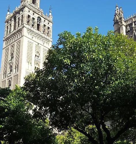 דירה Like - Museo *